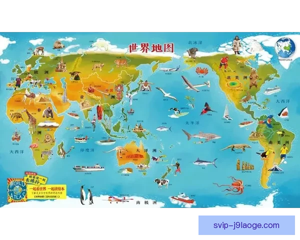 大洋洲女足足球发展提速推动区域竞技水平提升与国际影响力扩大